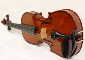 Ci-100