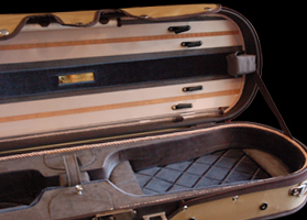 Luxury-800i